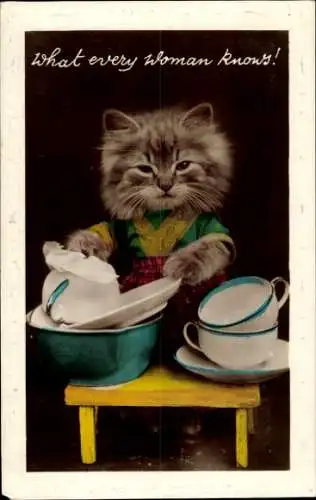 Ak Katze spült Geschirr, Vermenschlichte Katze