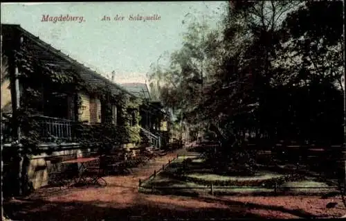 Ak Magdeburg an der Elbe,  An der Salzquelle