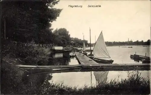 Ak Magdeburg an der Elbe, Salzquelle