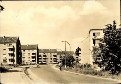Ak Eberswalde in Brandenburg, Wildparkstraße