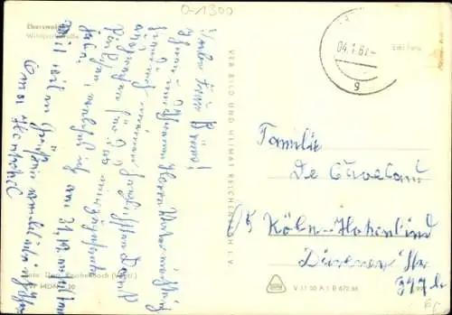 Ak Eberswalde in Brandenburg, Wildparkstraße