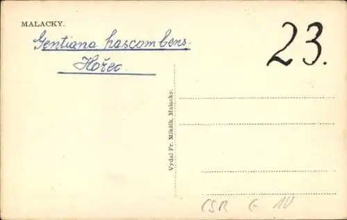 Ak Malaczka Malacky Slowakei, Ortsansichten