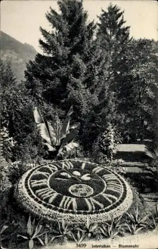 Ak Interlaken Kt. Bern Schweiz, Blick auf die Blumenuhr, Blumenbeete, Parkanlage
