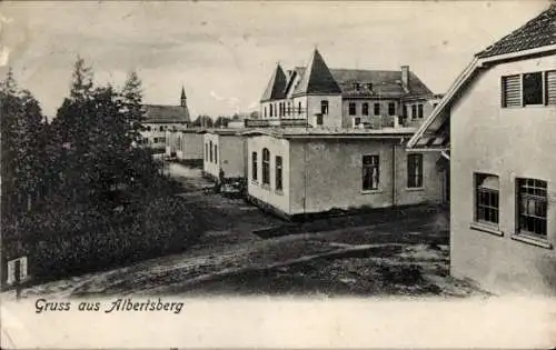 Ak Albertsberg Auerbach im Vogtland, Schwarz-Weiß-Foto von  Gebäude, Bäume, Straße