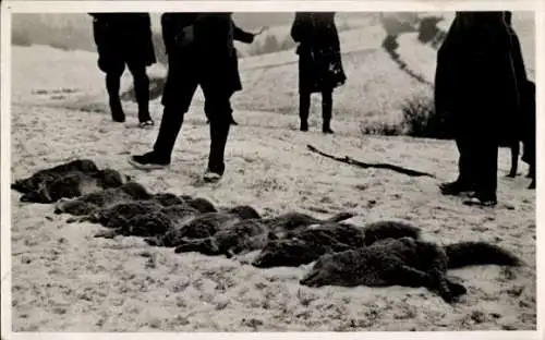 Foto Ak Waldjagdstrecke, erlegte Füchse, Jäger