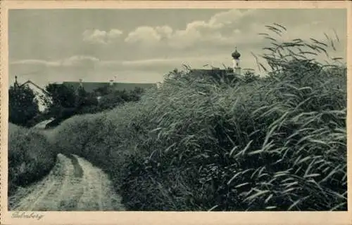 Ak Zangberg Oberbayern, Erziehungs-Institut St. Joseph der Salesianerinnen, Palmberg