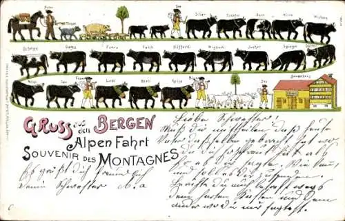 Litho Gruß aus den Bergen, Alpenfahrt, Rinder, Bauernhaus