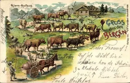 Litho Gruß aus den Bergen, Alpen-Aufzug, Kühe