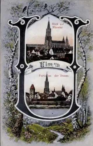 Passepartout Ak Ulm an der Donau, Münster, Stadt