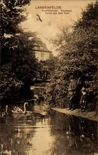 Ak Hamburg Eimsbüttel Stellingen Langenfelde, Etablissement Forsthaus,  Park