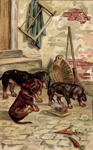 Künstler Litho Dackel, Maus im Käfig, Karotten