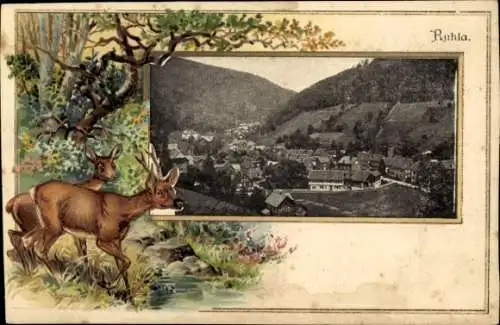Präge Passepartout Ak Ruhla in Thüringen, Totale, Rehe