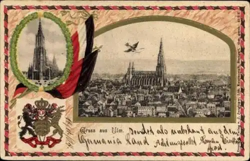 Präge Wappen Ak Ulm an der Donau, Panorama, Münster