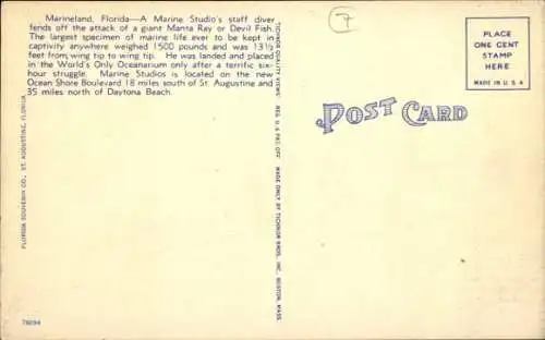 PC Diver and Manta Ray, Marine Studius