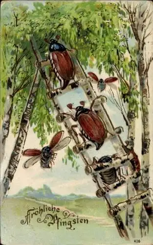 Präge Ak Frohe Pfingsten, Maikäfer auf einer Leiter, Birken