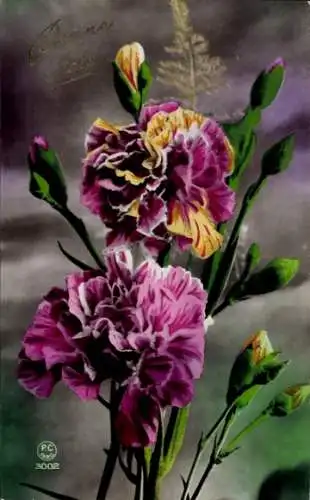 Ak Glückwunsch, Nelken