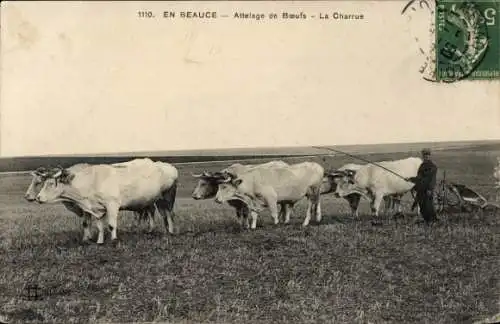 Ak Pflügender Bauer mit Ochsen, Beauce