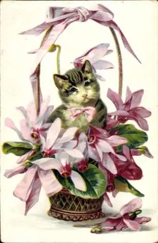 Präge Ak Katze im Blumenkorb