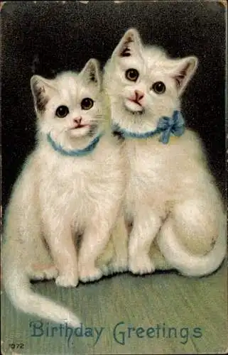 Glückwunsch Ak, weiße Katzen mit blauen Schleifen