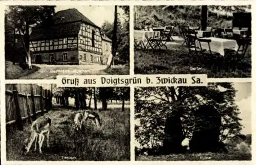 Ak Voigtsgrün Hirschfeld in Sachsen, Gaststätte, Garten, Tierpark