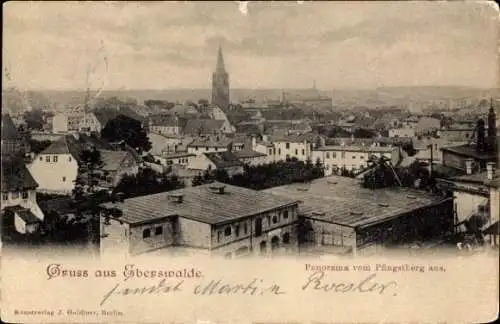 Ak Eberswalde in der Mark, Gruß aus Eberswalde. Panorama vom Pfingstberg aus.