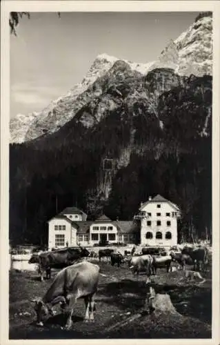 Ak Garmisch Partenkirchen, Talstation der Zugspitzbahn, Kühe, Seilbahn, Berge