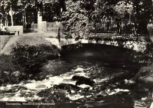 Ak Eberswalde in der Mark, Weidendamm-Promenade