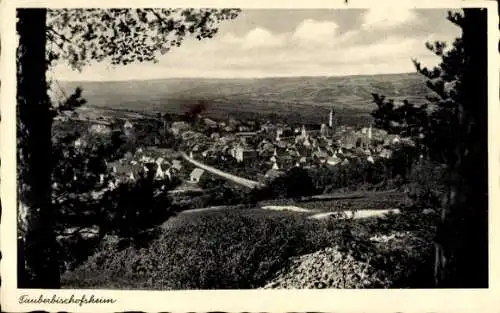 Ak Tauberbischofsheim Württemberg, Panoramablick auf den Ort vom Berg aus