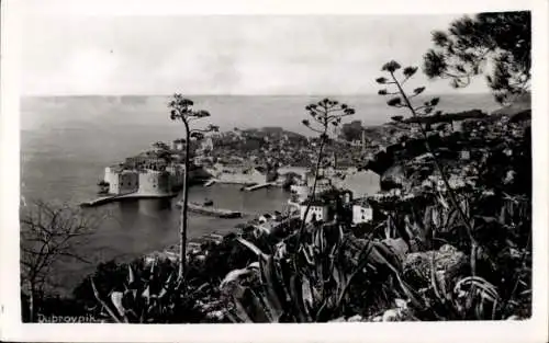 Ak Dubrovnik Kroatien, Panorama