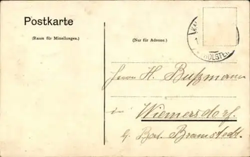 Ak Kaltenkirchen in Schleswig Holstein, Straßenpartie
