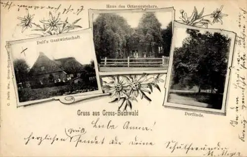 Ak Groß Buchwald in Schleswig Holstein, Delf's Gastwirtschaft, Haus des Ortsvorstehers, Dorflinde