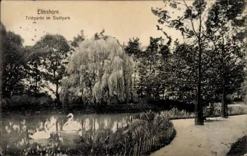 Ak Elmshorn in Holstein, Teich, Stadtpark