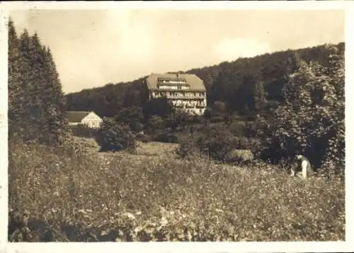 Ak Frankenheim in der Rhön, Sophienhöhe