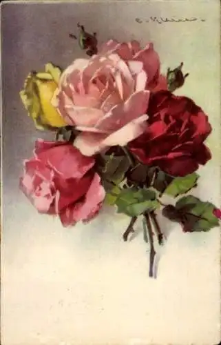 Künstler Ak Klein, Catharina, verschiedenfarbige Rosen
