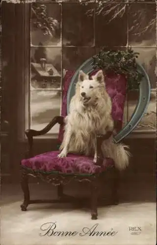 Ak Glückwunsch Neujahr, Weißer Hund, Stuhl, Hufeisen, Stechpalme