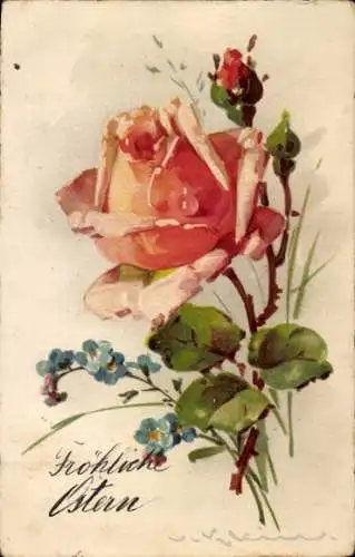 Künstler Ak Klein, C., Blühende Rose, Knospen