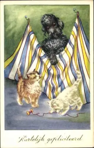 Ak Glückwunsch, Katzen, Hund, Faden