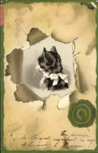 Passepartout Ak schwarz-weiße Katze mit Schleife am Hals