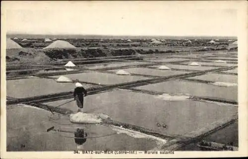 Ak Batz sur Mer Loire Atlantique, Salzwiesen