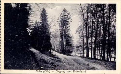 Ak Prüm in der Eifel, Prüm (Eifel) Eingang zum Tettenbusch
