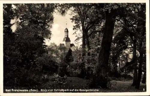Ak Bad Freienwalde an der Oder, Blick vom Schlosspark auf die Georgenkirche