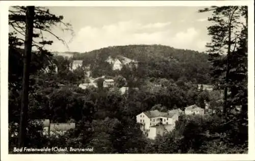 Ak Bad Freienwalde an der Oder, Blick auf Bad Freienwalde (Oder) mit dem Brunnental, im Hinter...
