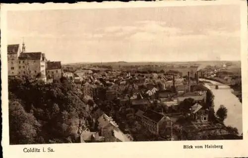 Ak Colditz in Sachsen, Blick vom Hainberg, Colditz i. Sa.