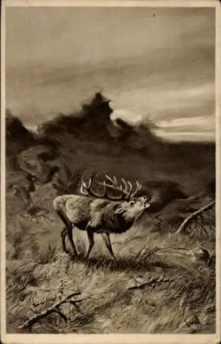 Künstler Ak Hirsch, Wiese, Waldtier