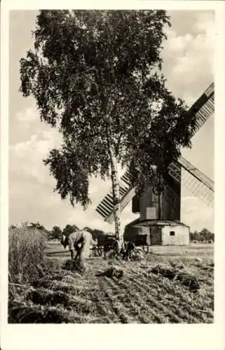 Ak Windmühle, Bauer bei der Arbeit