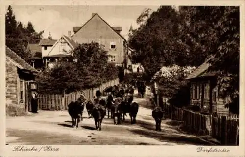 Ak Schierke Wernigerode am Harz, Dorfstraße