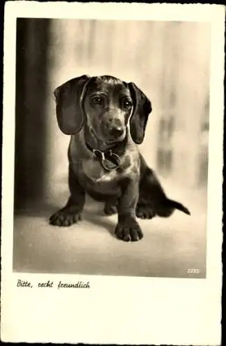 Foto Ak Dankel, Portrait, Bitte, recht freundlich