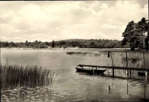 Ak Eberswalde in der Mark, Stadtsee