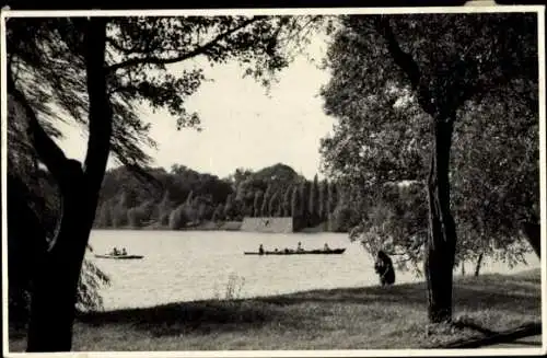 Foto Zwickau in Sachsen, Schwanenteich