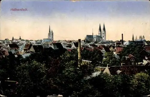 Ak Halberstadt Sachsen Anhalt, Panorama